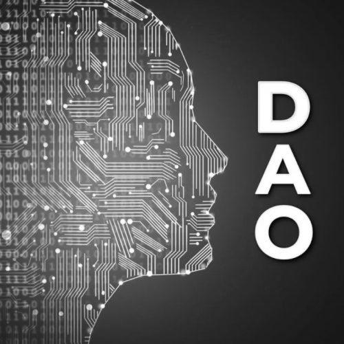 Are you looking to create a DAO?